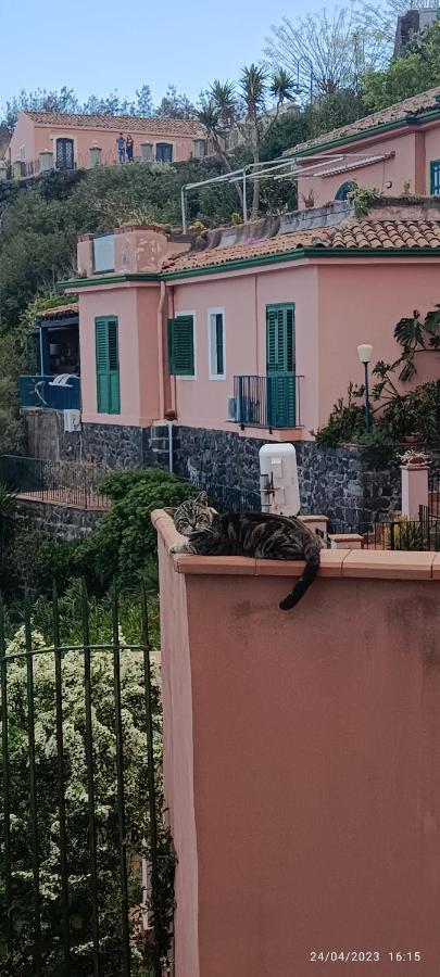 La Timpa Villa Acireale Dış mekan fotoğraf